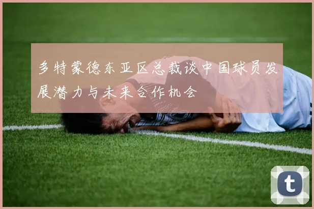 多特蒙德东亚区总裁谈中国球员发展潜力与未来合作机会