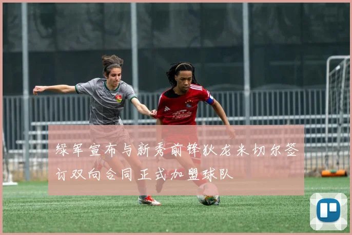 绿军宣布与新秀前锋狄龙米切尔签订双向合同正式加盟球队
