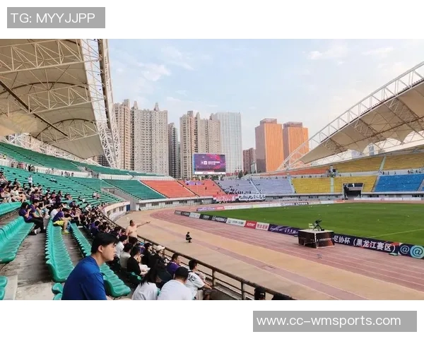 足协征集足协杯资格赛承办地要求赛区提供至少六块比赛场地