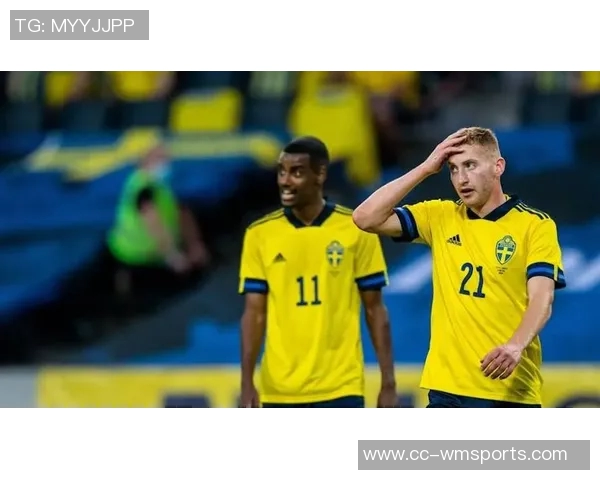 波特期待伊萨克和库卢能及时复出参加世预赛附加赛的机会